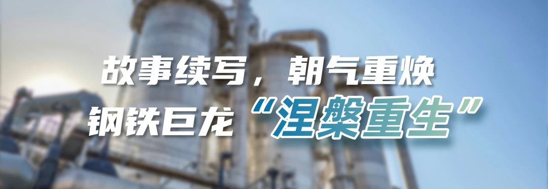 1730337839284349.jpg 1730337839284349.jpg