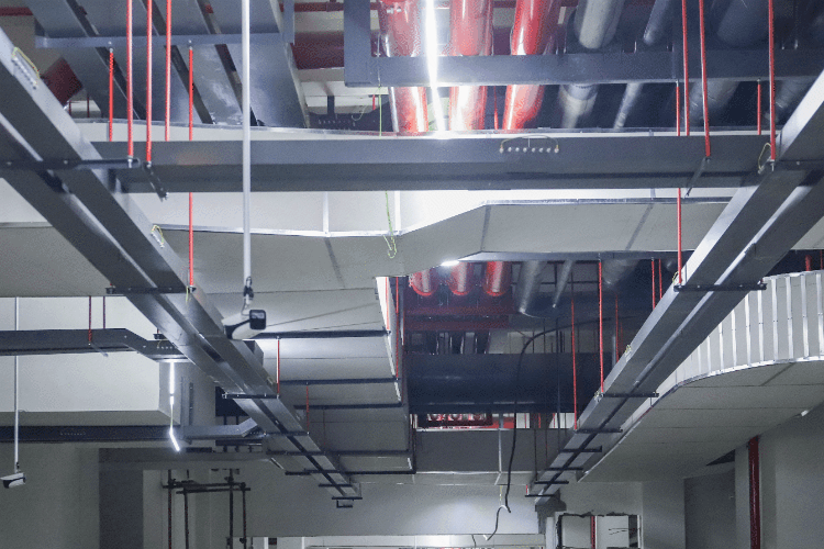 1731918979875060.gif 1731918979875060.gif