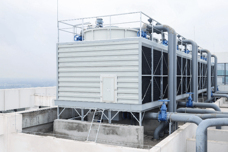 1731919099320334.gif 1731919099320334.gif