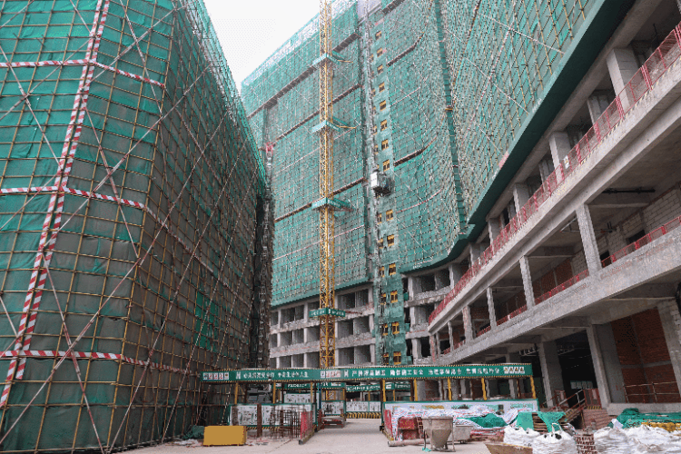 1731919369278295.gif 1731919369278295.gif