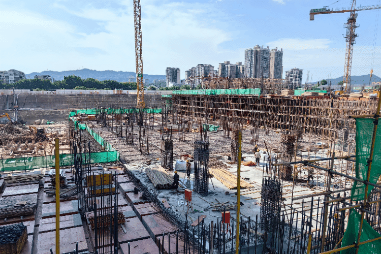 1731919477408227.gif 1731919477408227.gif