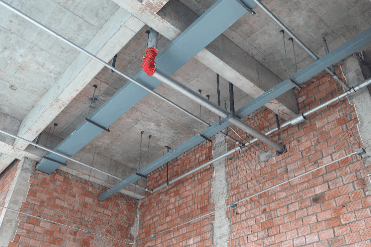 1731919636691894.gif 1731919636691894.gif