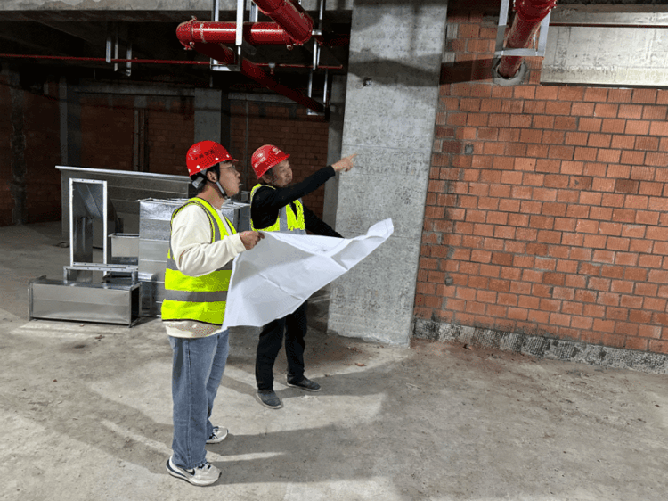 1731920146512787.gif 1731920146512787.gif