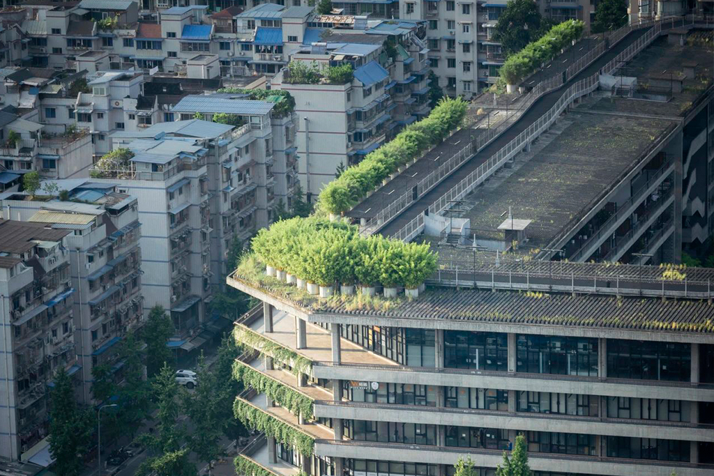 1741225390176741.jpg 1741225390176741.jpg