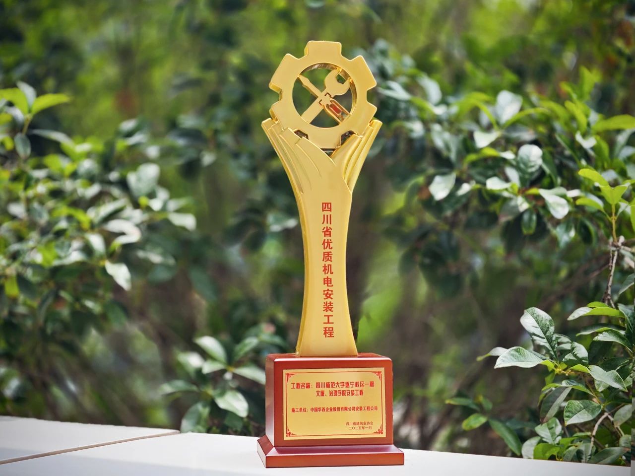 1750382626258021.jpg 1750382626258021.jpg