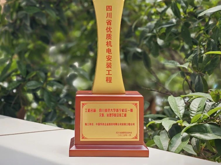 1750382796677735.jpg 1750382796677735.jpg